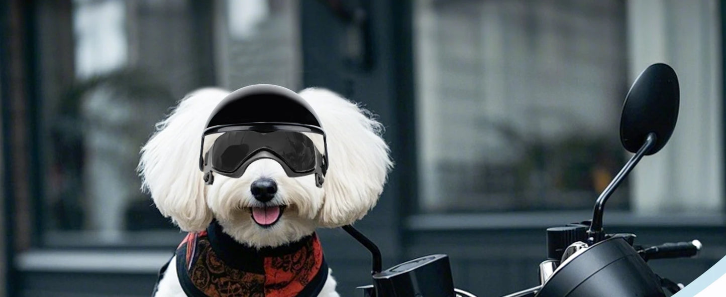 LETVIA S/M Dog Helmet with Dog Goggles Anti-UV Doggy Sunglasses Pet Motorcycle Helmet Hat with Ear Holes Outdoor Driving Walking