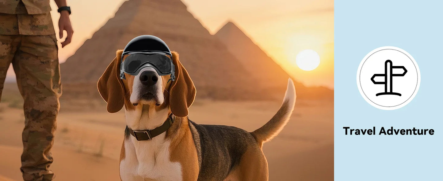 LETVIA S/M Dog Helmet with Dog Goggles Anti-UV Doggy Sunglasses Pet Motorcycle Helmet Hat with Ear Holes Outdoor Driving Walking