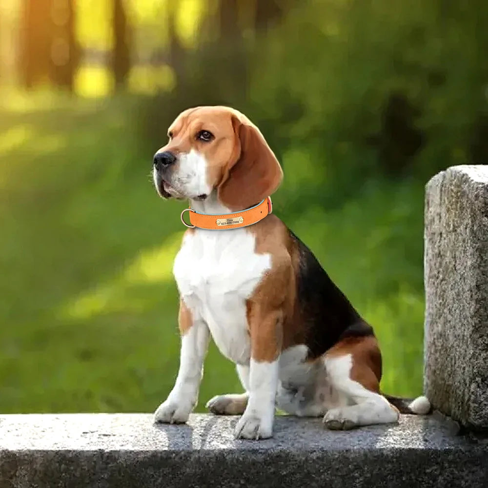 Personalized  PU Leather Dog Collar Free Engraved Dog ID Collars Nameplate Soft Padded For Small Medium Large Dogs Adjustable