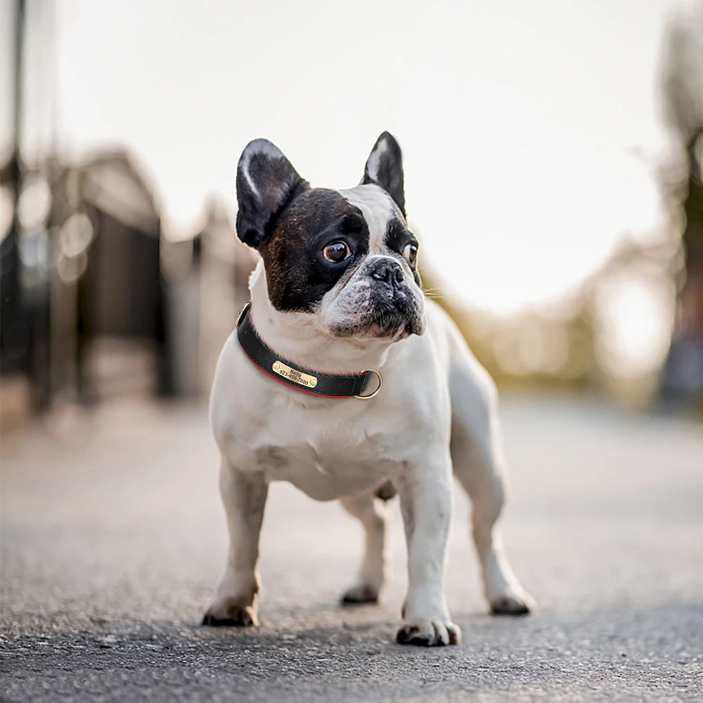 Personalized  PU Leather Dog Collar Free Engraved Dog ID Collars Nameplate Soft Padded For Small Medium Large Dogs Adjustable